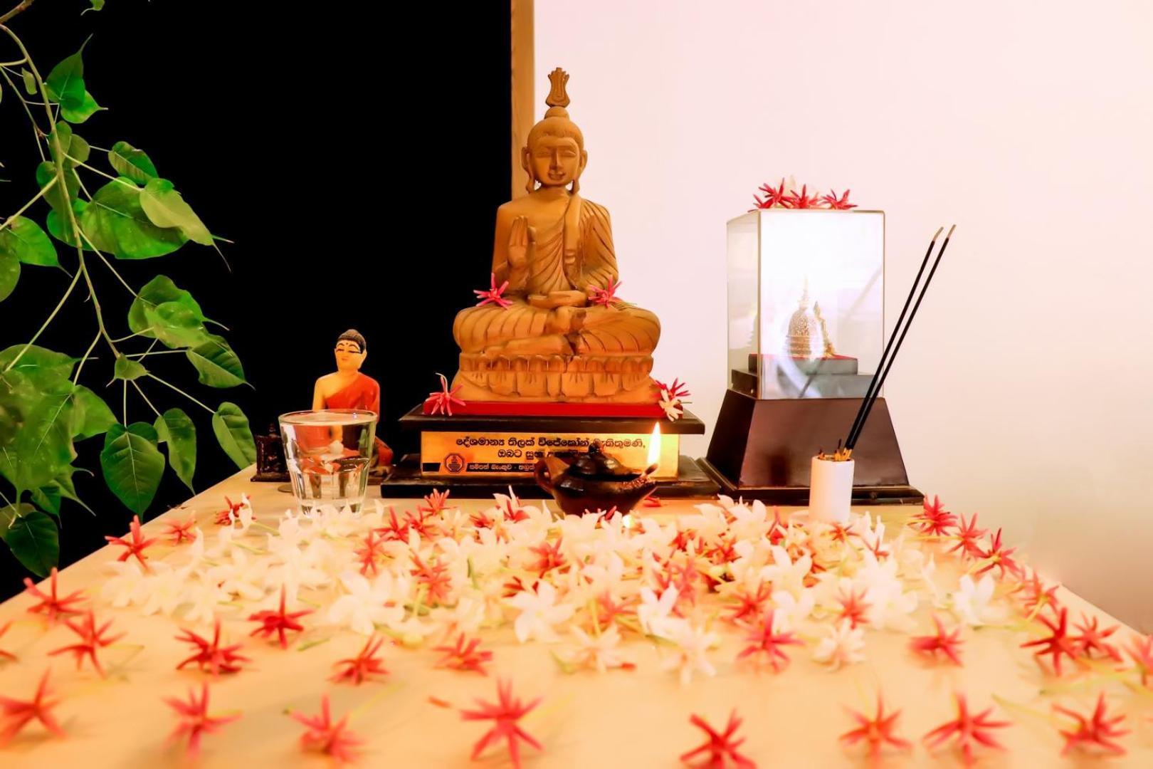 Kanola Luxury Hotel Anuradhapura Zewnętrze zdjęcie